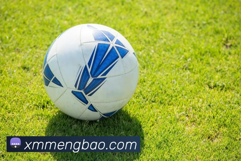 App Interface Preview